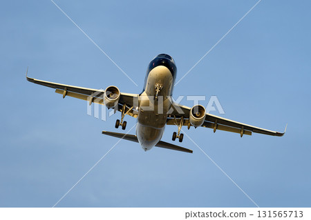 A photo of the plane taken from the front A photo of the plane taken from the front 131565713
