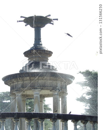 鶴舞公園 131566250