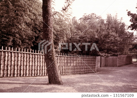 1956年的老照片，京都桂離宮 131567109