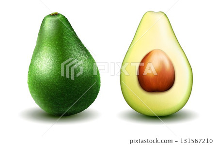 Realistic green avocado for healthy eating. 3D rendering. Whole, slice and halved avocado with bone. Composition of ripe avocado. Vector illustration isolated on white background. 131567210
