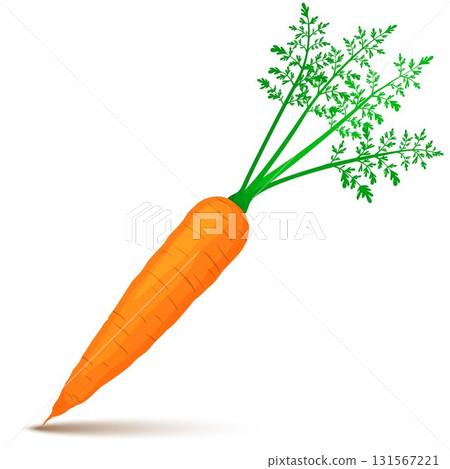 Carrot icon in a flat design on a white background. Vector illustration 131567221