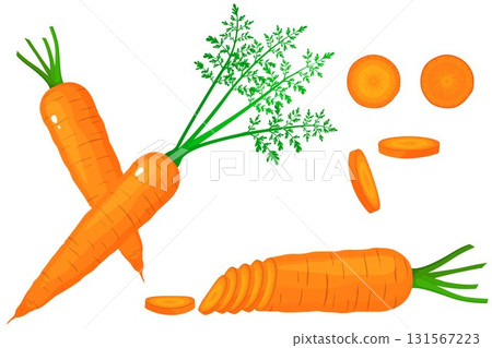Bright vector set of colorful half, slice and whole of carrot. Fresh cartoon vegetable isolated on white background. Illustration used for magazine, book, poster, card, menu cover, web pages. Bright vector set of colorful half, slice and whole of carrot. Fresh cartoon vegetable isolated on white background. Illustration used for magazine, book, poster, card, menu cover, web pages. 131567223