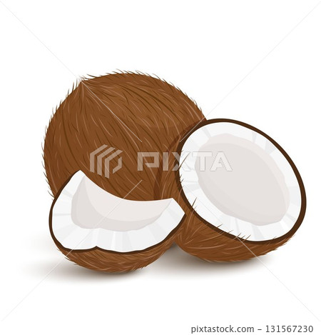 Set of exotic whole, half, cut pieces of coconut fruit isolated on white background. Summer fruits for a healthy lifestyle. Organic fruits. Cartoon style. Vector illustration for any design. 131567230