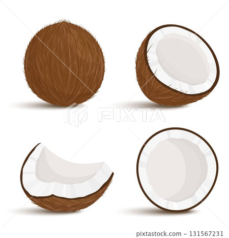 Set of exotic whole, half, cut pieces of coconut fruit isolated on white background. Summer fruits for a healthy lifestyle. Organic fruits. Cartoon style. Vector illustration for any design. 131567231