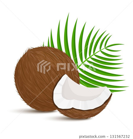 Whole coconut with piece and palm leaves on white background. Vector illustration. Flat design Whole coconut with piece and palm leaves on white background. Vector illustration. Flat design 131567232