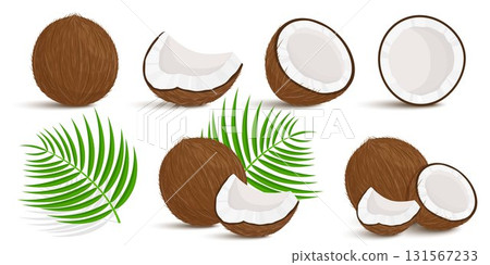 Set of exotic whole, half, cut pieces of coconut fruit and palm leaves isolated on white background. Summer fruits for a healthy lifestyle. Organic fruits. Cartoon style. Vector illustration 131567233