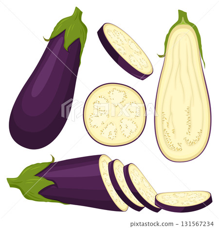Eggplant set isolated on white background. Whole, slice, half of fresh aubergine. Vector ingredients for salad. 131567234