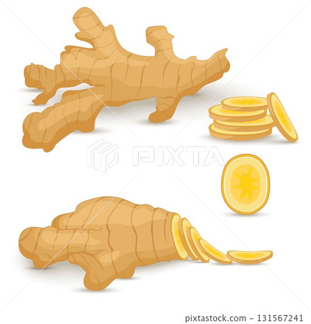Set of fresh ginger root on white background. Vegan food vector icons in a trendy cartoon style. Healthy food concept for design. Set of fresh ginger root on white background. Vegan food vector icons in a trendy cartoon style. Healthy food concept for design. 131567241