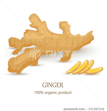Ginger vector. Whole and sliced ginger root isolated on white background. Illustration in the cartoon style. Cut the close-up. 131567242