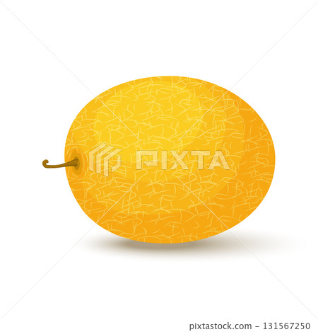 Fresh whole melon fruit isolated on white background. Honeydew melon. Summer fruits for healthy lifestyle. Organic fruit. Cartoon style. Vector illustration for any design. Fresh whole melon fruit isolated on white background. Honeydew melon. Summer fruits for healthy lifestyle. Organic fruit. Cartoon style. Vector illustration for any design. 131567250