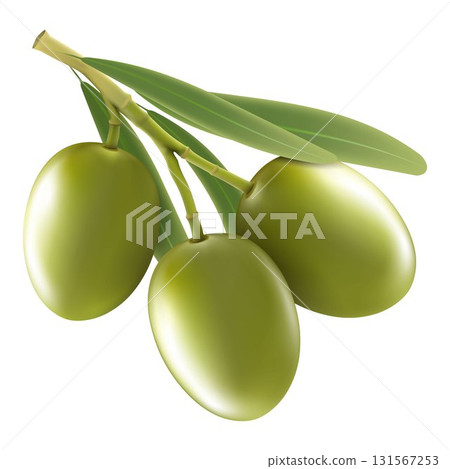 Green olive branch isolated on white background as package design composition. realistic vector, 3d 131567253