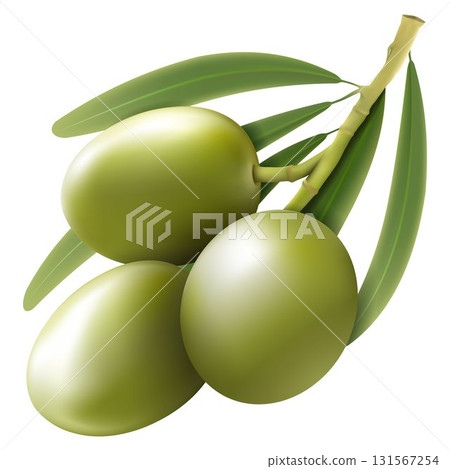 Green olive branch isolated on white background as package design composition. realistic vector, 3d Green olive branch isolated on white background as package design composition. realistic vector, 3d 131567254