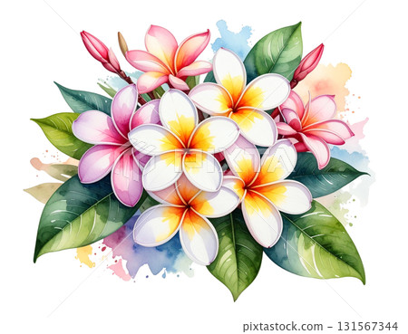 雞蛋花花束水彩插圖 131567344