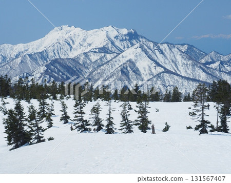 從火內山眺望白雪皚皚的高妻山 131567407