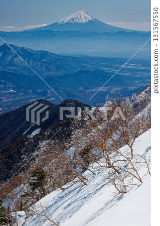 冬季從八嶽山脈赤嶽山脊線看到的富士山 131567550