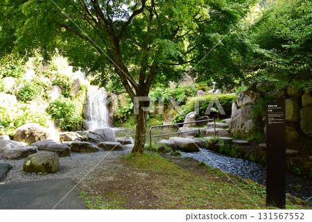 Lake Yamanaka Flower Park: Iwashimizu Falls and the murmuring of the river in Seiryu no Sato Lake Yamanaka Flower Park: Iwashimizu Falls and the murmuring of the river in Seiryu no Sato 131567552