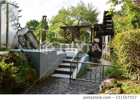山中湖花之宮湖公園：清流之里水上遊樂區、水上遊樂設備及溪流 131567557