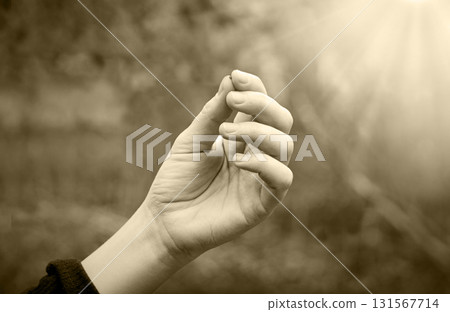Hand holding a small mustard seed Hand holding a small mustard seed 131567714