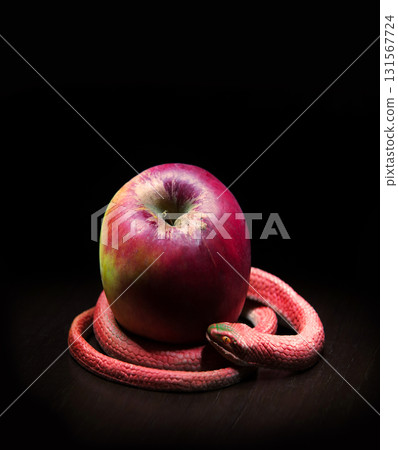 The snake lies near the apple The snake lies near the apple 131567724