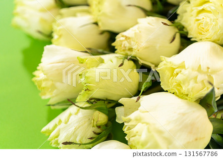 A vivid arrangement of peach, lavender, and violet Matthiola flowers placed on a bright green background. This close-up floral composition is ideal for spring-themed designs, botanical prints, or 131567786