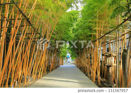 南青山梅藏院 南青山梅藏院 131567957