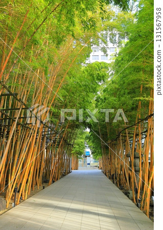 南青山梅藏院 南青山梅藏院 131567958