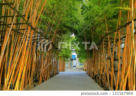南青山梅藏院 南青山梅藏院 131567969