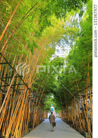 南青山梅藏院 南青山梅藏院 131567977