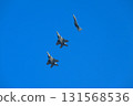 F-15s flying in formation, taking a break 131568536