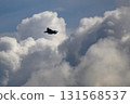 F-35 silhouette approach 131568537