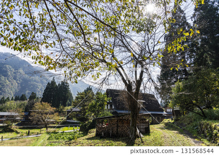 Autumn in Gokayama: Ainokura Gassho-style Village, a World Heritage Site 131568544