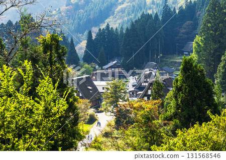 五簇山的秋天：世界遺產相倉合掌村 131568546