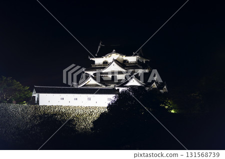 The illuminated National Treasure Hikone Castle tower The illuminated National Treasure Hikone Castle tower 131568739