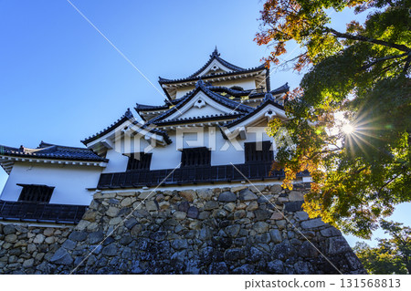 National Treasure Hikone Castle Tower 131568813