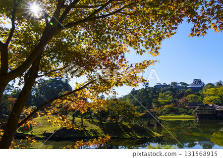 秋葉最盛時,從玄宮園眺望彥根城 秋葉最盛時,從玄宮園眺望彥根城 131568915