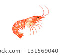 Shrimp watercolor illustration 131569040
