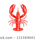 Lobster watercolor illustration 131569041