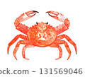 Crab watercolor illustration 131569046