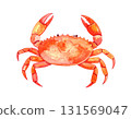 Crab watercolor illustration 131569047