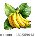 Banana watercolor illustration 131569048