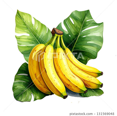 Banana watercolor illustration 131569048