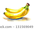 Banana watercolor illustration 131569049