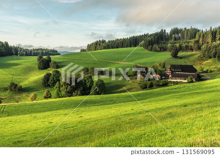 Traditional farmhouse in Jostal valley with meadows and conifer forest, Black Forest, Germany Traditional farmhouse in Jostal valley with meadows and conifer forest, Black Forest, Germany 131569095