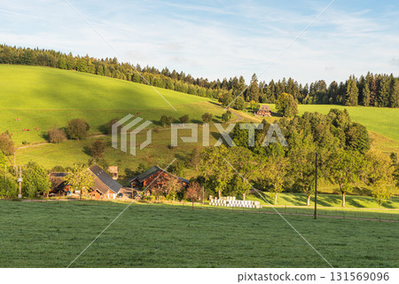 Traditional farmhouses in hilly landscape of Jostal valley, Black Forest, Titisee-Neustadt, Germany Traditional farmhouses in hilly landscape of Jostal valley, Black Forest, Titisee-Neustadt, Germany 131569096