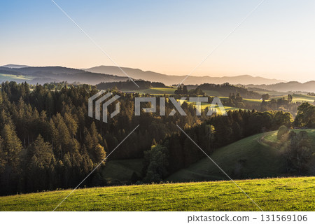 Forested hills of the Black Forest in golden evening light, St. Maergen, Baden-Wuerttemberg, Germany Forested hills of the Black Forest in golden evening light, St. Maergen, Baden-Wuerttemberg, Germany 131569106