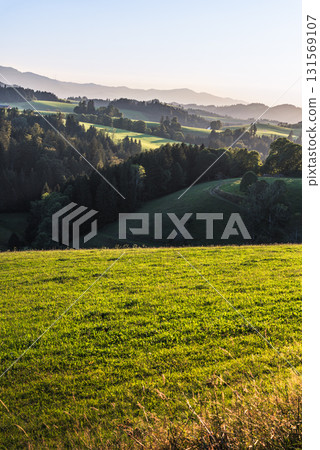 Forested hills of the Black Forest in golden evening light, St. Maergen, Baden-Wuerttemberg, Germany Forested hills of the Black Forest in golden evening light, St. Maergen, Baden-Wuerttemberg, Germany 131569107