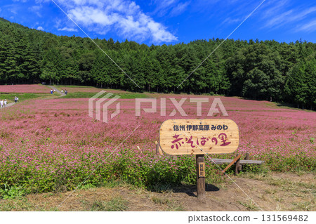 藍天白雲下,信州箕輪町赤蕎麥村的美景和木牌 藍天白雲下,信州箕輪町赤蕎麥村的美景和木牌 131569482