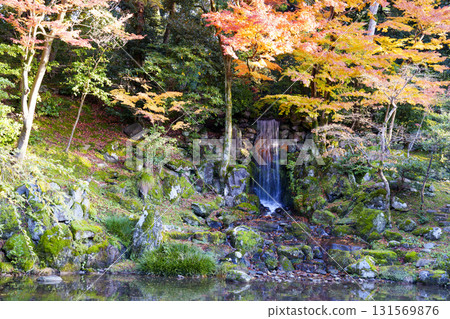 Kanazawa, Kenrokuen Garden, one of Japan's three most famous gardens, in the height of autumn foliage 131569876
