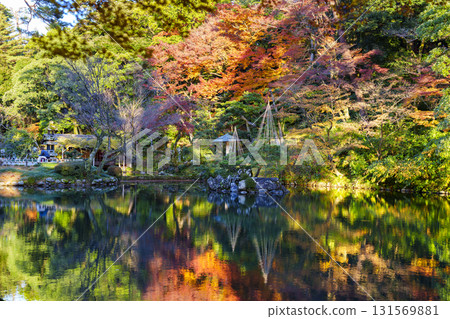 金澤兼六園，日本三大名園之一，正值紅葉盛季 131569881