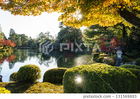 金澤兼六園,日本三大名園之一,正值紅葉盛季 金澤兼六園,日本三大名園之一,正值紅葉盛季 131569883